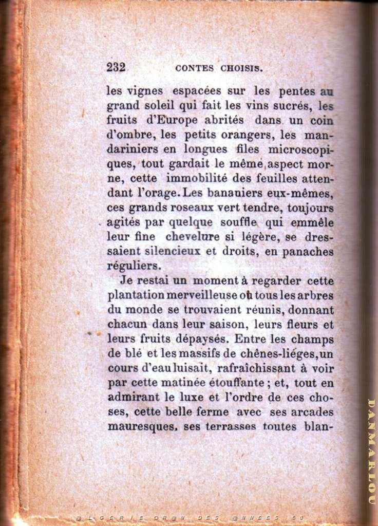 les sauterelles 02.jpg - LEAD Technologies Inc. V1.01